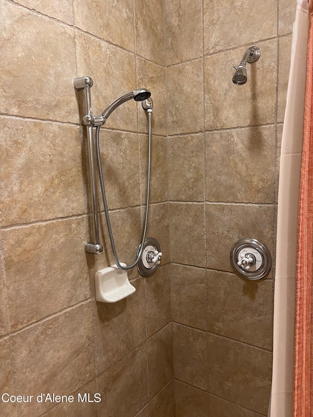 room details featuring a shower with shower curtain