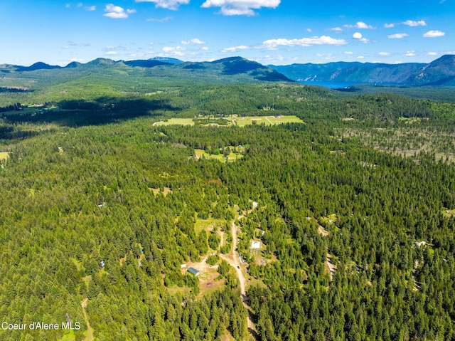 drone / aerial view with a mountain view and a wooded view