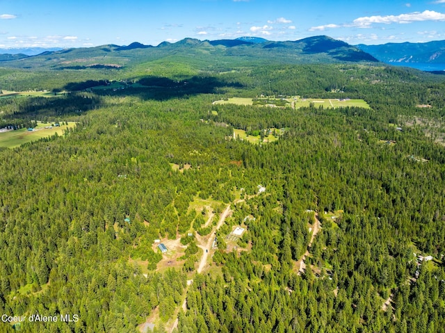 aerial view featuring a mountain view and a wooded view