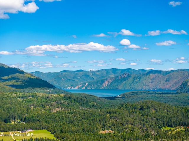 property view of mountains with a water view and a view of trees