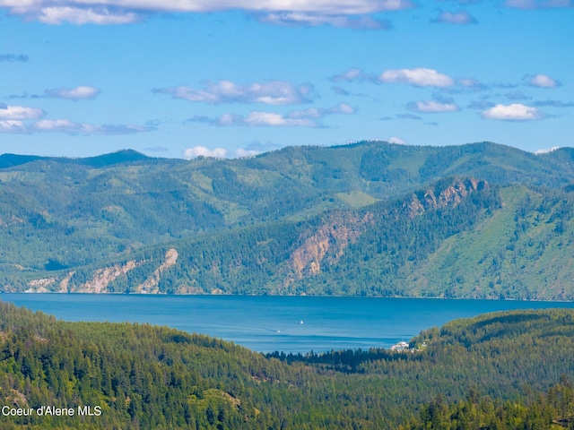 view of mountain feature with a water view and a wooded view