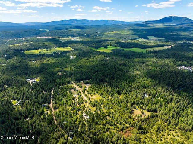 aerial view with a mountain view and a wooded view