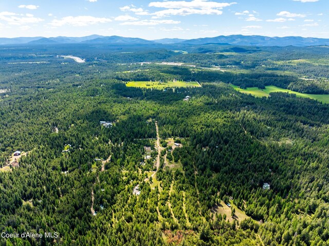 birds eye view of property with a forest view and a mountain view