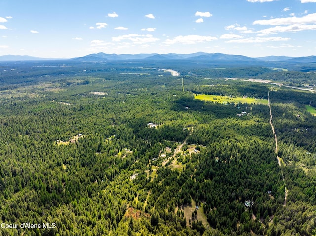 birds eye view of property with a forest view and a mountain view