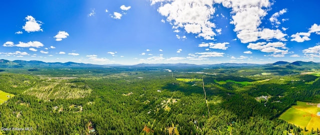 view of mountain feature with a view of trees