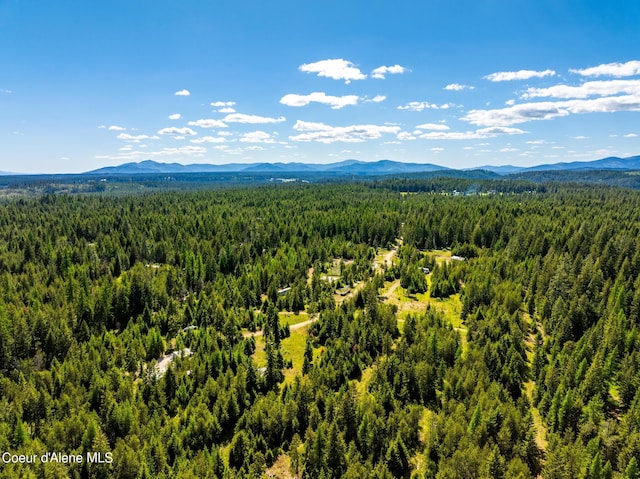 birds eye view of property with a forest view and a mountain view