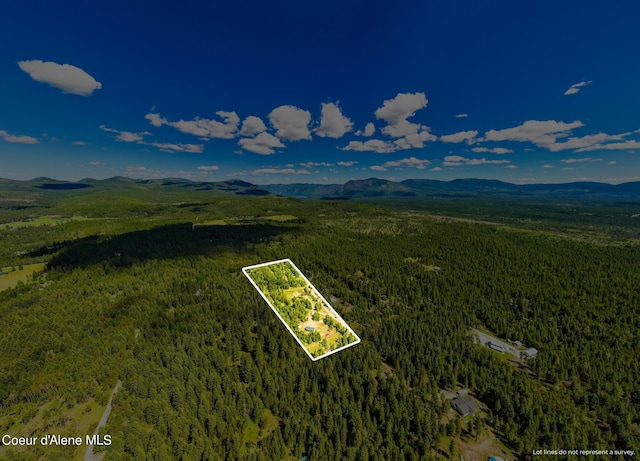 bird's eye view with a mountain view