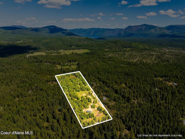 birds eye view of property featuring a mountain view