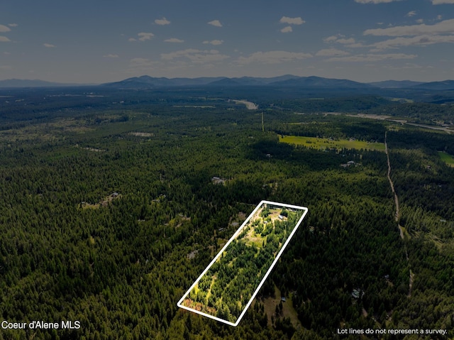 birds eye view of property with a mountain view and a view of trees