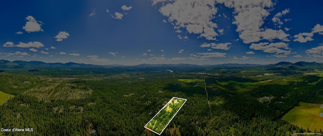 drone / aerial view with a mountain view