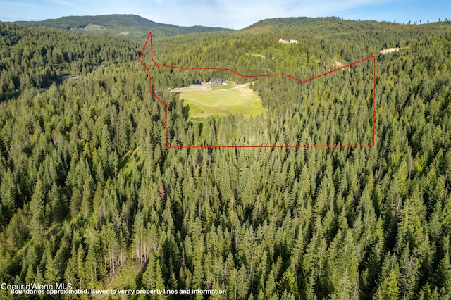 aerial view with a mountain view and a forest view