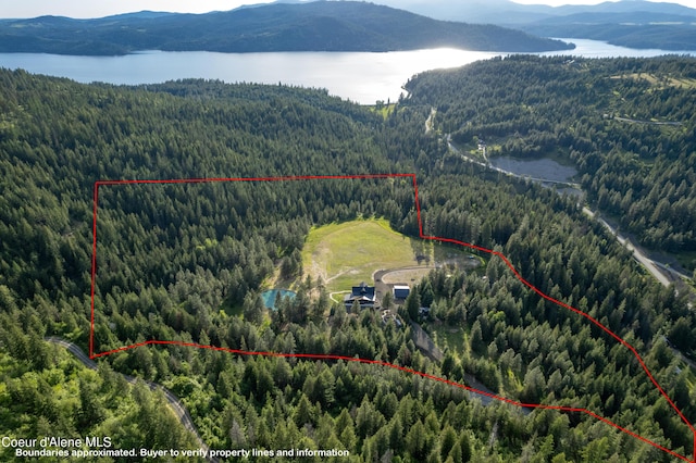 aerial view featuring a view of trees and a water and mountain view