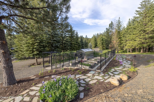 view of yard featuring a garden and an outdoor structure