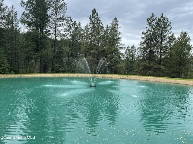 property view of water featuring a forest view