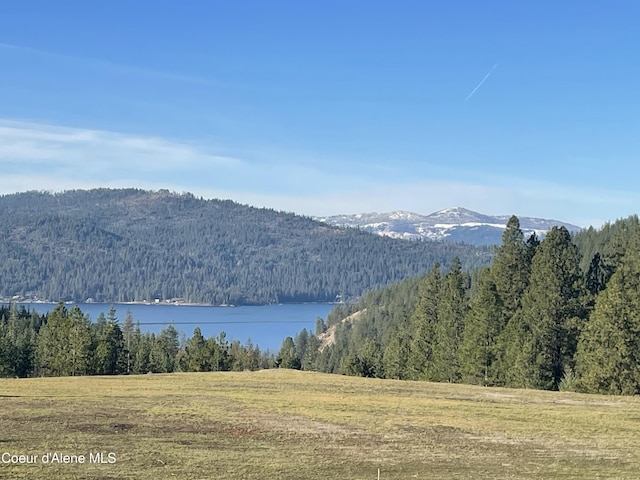 mountain view with a water view and a view of trees