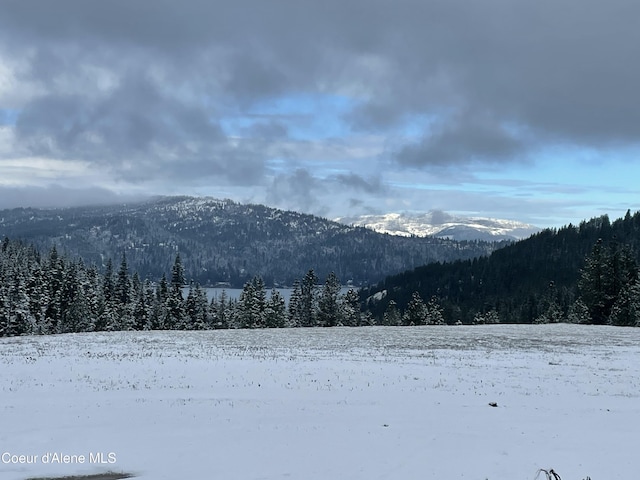 mountain view with a view of trees