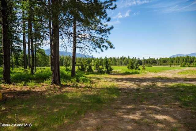 Listing photo 3 for NNA Holmes Rd, Bonners Ferry ID 83805