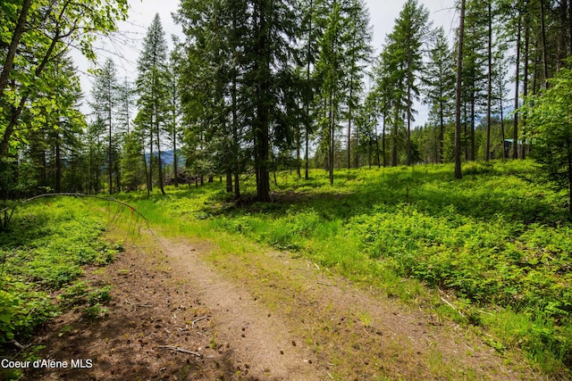 Listing photo 2 for NNA Lupine Rd, Bonners Ferry ID 83805