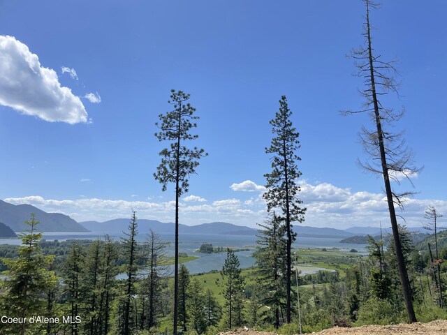 NNA Highway 200, Clark Fork, ID 83811 - photo 4