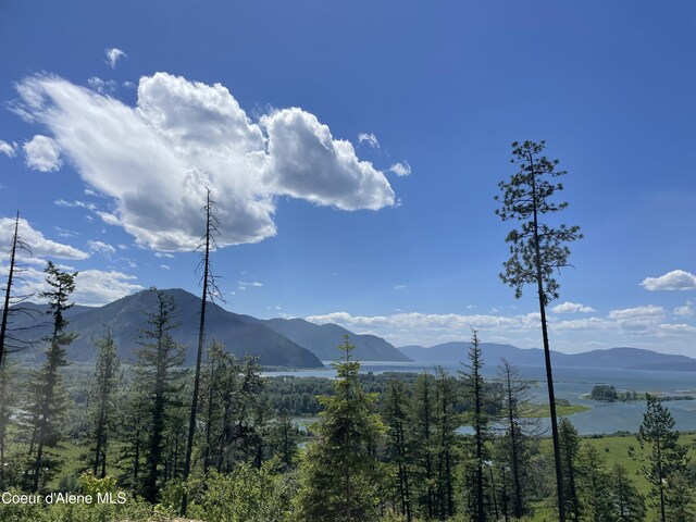 NNA Highway 200, Clark Fork, ID 83811 - photo 5