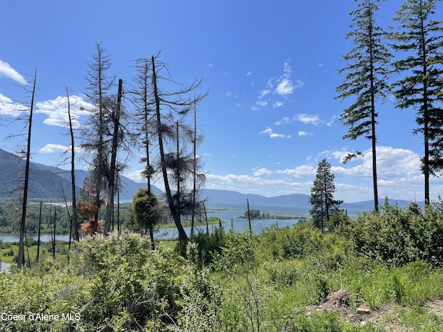 NNA Highway 200, Clark Fork, ID 83811 - photo 20