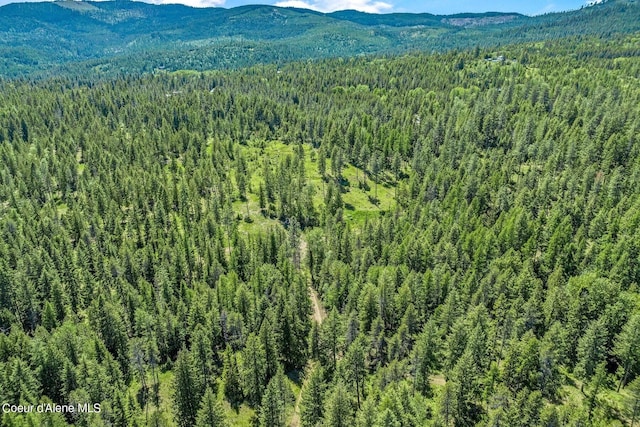 aerial view featuring a wooded view and a mountain view