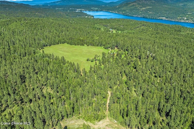 birds eye view of property featuring a forest view and a water and mountain view