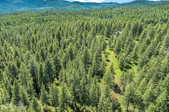 drone / aerial view with a forest view and a mountain view