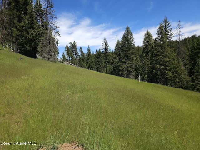 NNA4B Ryan Loop, Saint Maries ID, 83861 land for sale