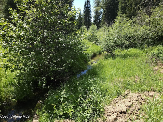 Listing photo 2 for NNA4B Ryan Loop, Saint Maries ID 83861