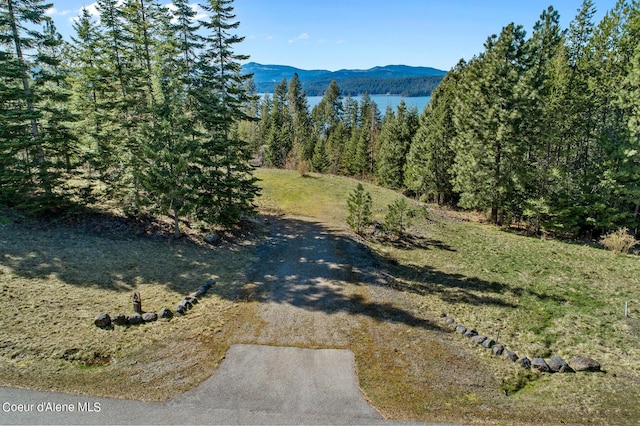 L3B1 Napili Rd, Harrison ID, 83833 land for sale