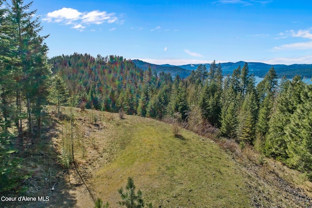 Listing photo 3 for L3B1 Napili Rd, Harrison ID 83833