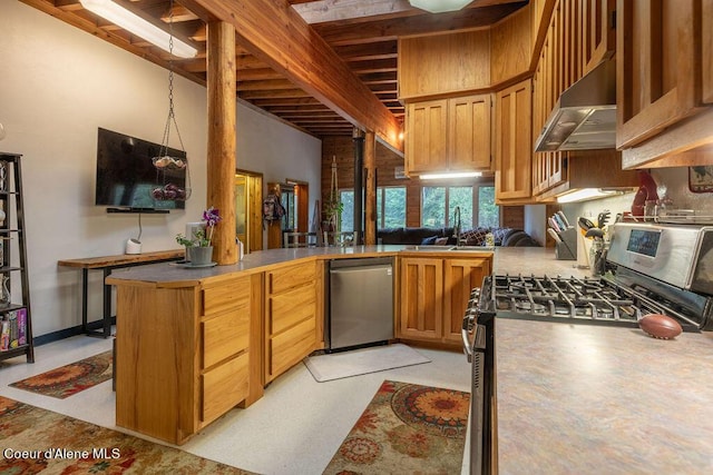 kitchen featuring kitchen peninsula, sink, exhaust hood, and appliances with stainless steel finishes