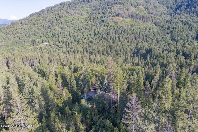 drone / aerial view featuring a mountain view