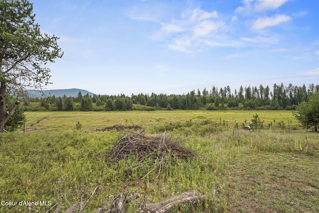 view of local wilderness with a rural view