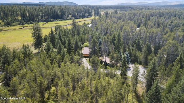 bird's eye view with a mountain view