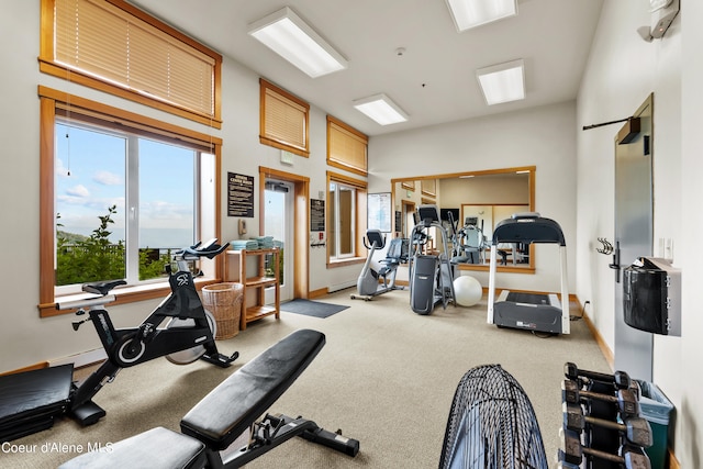 exercise room featuring light carpet