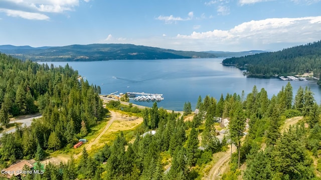 1870 E Flying Eagle Rd, Harrison, ID 83833
