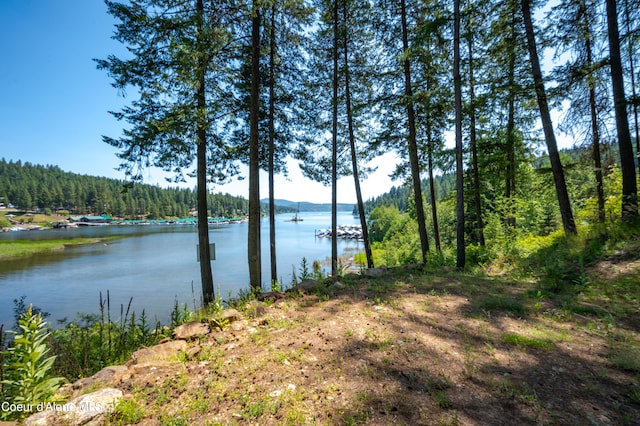 NKA S Watson Rd, Coeur Dalene ID, 83814 land for sale