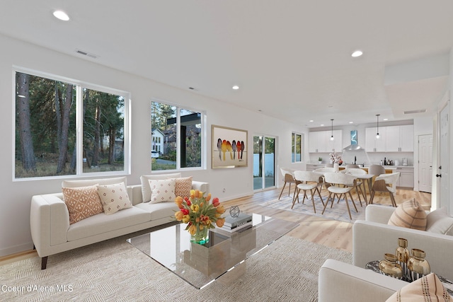 living room featuring light hardwood / wood-style flooring