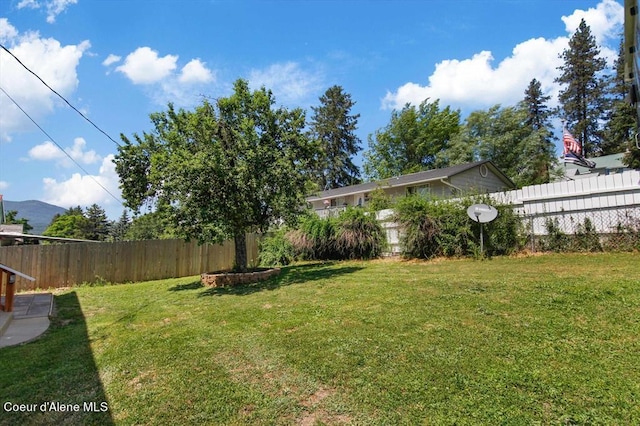 view of yard