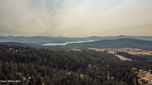 NKA Rugged Rd, Coeur Dalene ID, 83814 land for sale