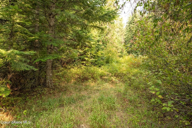 NKA Rugged Rd, Coeur Dalene, ID 83814 - photo 4