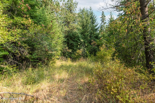 NKA Rugged Rd, Coeur Dalene, ID 83814 - photo 5