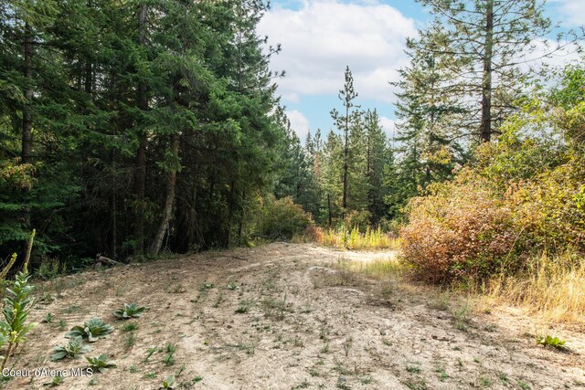 NKA Rugged Rd, Coeur Dalene, ID 83814 - photo 7