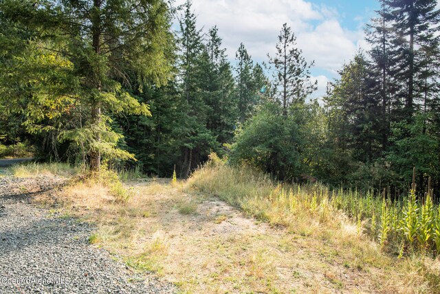 NKA Rugged Rd, Coeur Dalene, ID 83814 - photo 8