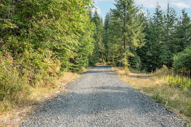 NKA Rugged Rd, Coeur Dalene, ID 83814 - photo 9