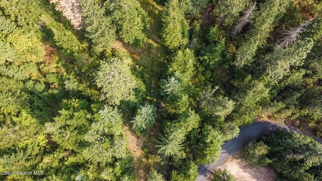 NKA Rugged Rd, Coeur Dalene, ID 83814 - photo 10
