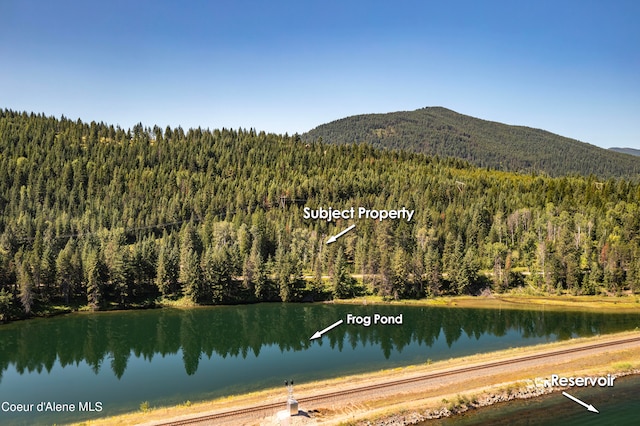 292 Marten Creek Rd, Trout Creek MT, 59874 land for sale