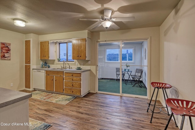 kitchen featuring sink, dishwasher, ceiling fan, wood-type flooring, and a textured ceiling